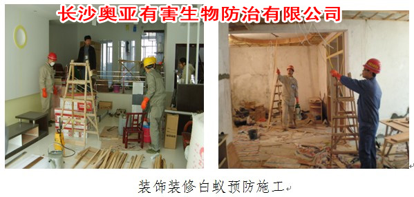 �����b���������ρ�A(y��)������