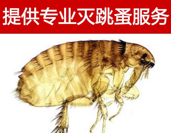 ����߀�ڱ��������_��������?gu��)����Q�����I(y��)����ȫ���б���