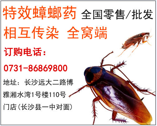 �e�^���ķ�����