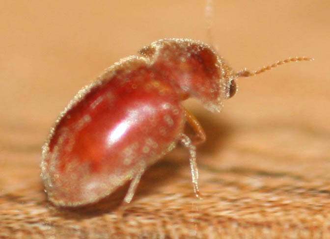 ��Ҋ(ji��n)���ձ���ư�x(ch��ng)�����u�·� ׽�x(ch��ng)���˶��쯂��