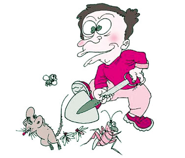 �(qi��ng)��õĲ�����󷽷�